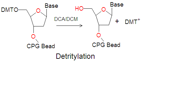 File:Phosphoramidite detritylation.png