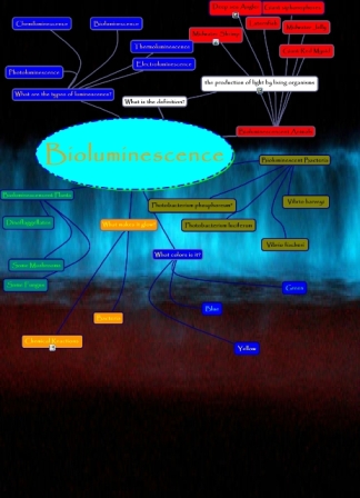 This tree shows the many areas of life in which bioluminescence exists, the different ways in which it is seen, and the amount of variation there is in a topic that has such strict requirements.