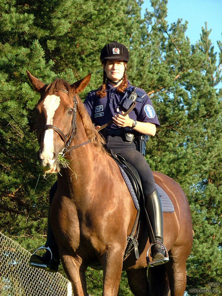 File:Mounted police officer in Helsinki Finland.jpg