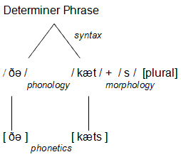 File:Linguistics-illustration-determinerphrase.gif
