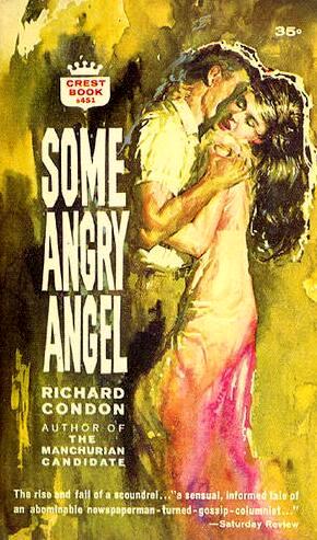File:Some Angry Angel Paperback.jpg