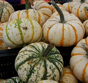 Small decorative pumpkins.