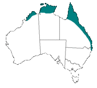 Distribution of the Coastal taipan in Australia