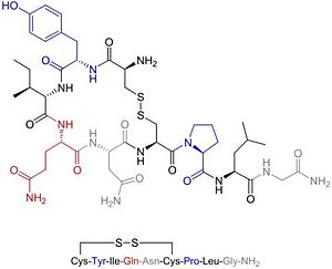 Oxytocin.jpg