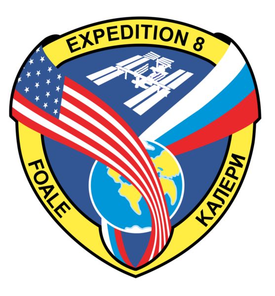 File:ISS Expedition 8 Patch.jpg