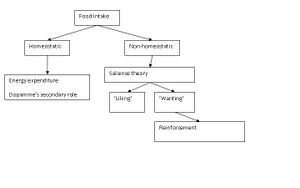 Food intake diagram.jpg