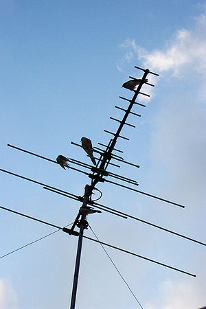 Television Antenna.jpg