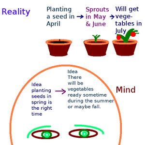 Vegetable logic.jpg