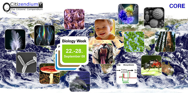 File:Draft image for PLoS article on Biology week 080622mr.jpg