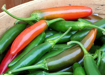 Serrano peppers.