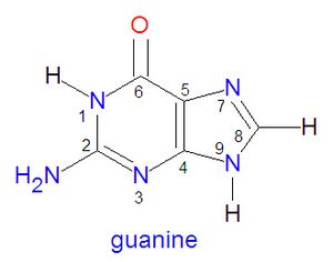 Guanine.jpg