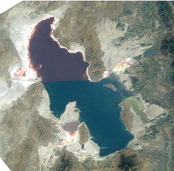 Great Salt Lake showing purple tint due to halobacterium presence