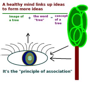 Principle of association.jpg