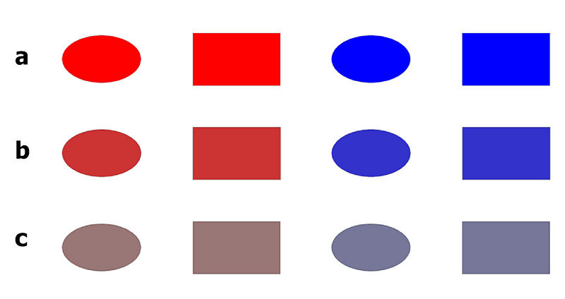 File:Color shape perception experimental design.jpg