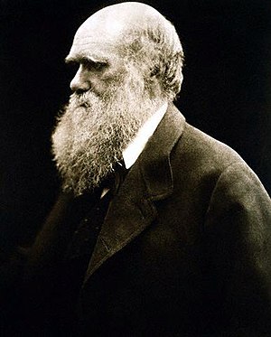 Charles Darwin by Julia Margaret Cameron.jpg