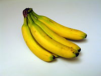 A hand of bananas "Cavendish"