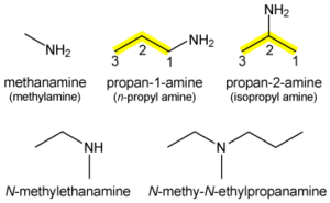 IUPAC-amine.png