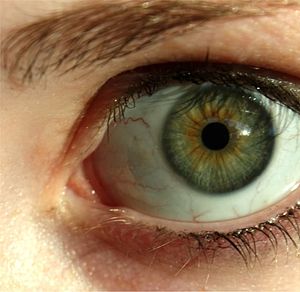 Green eye lashes.jpg