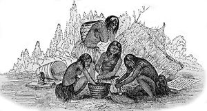 (PD) Drawing: A.T. Agate Indians pounding acorns.
