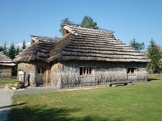 A cise is a traditional Ainu dwelling, with a thatched roof and entranceway separate from the main interior space. These replicas can be seen at Nibutani, an Ainu-majority village in Hokkaido.