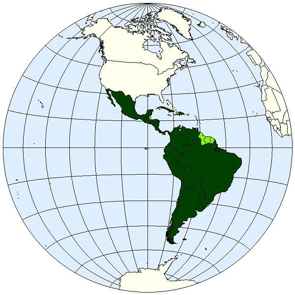 File:Map-Latin America2.jpg
