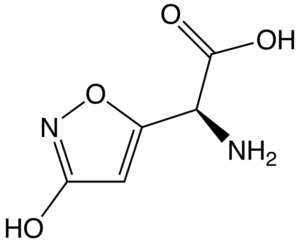 Ibotenic acid.png