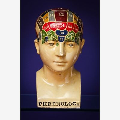 Popular in the middle of the 19th century, phrenology held that mental faculties are localised to different parts of the brain, that they develop differently in different individuals, and that these differences are reflected in measurable differences in the external form of the cranium.